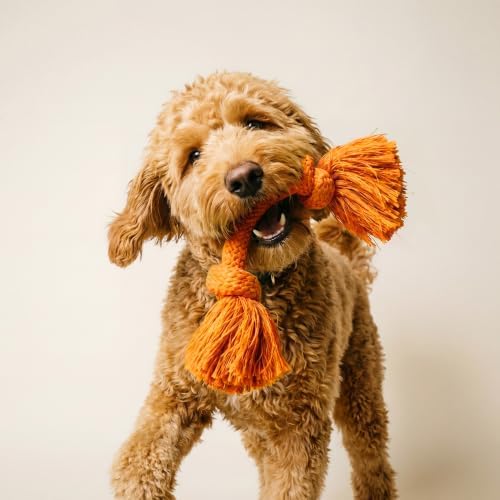 Playology Tug Rope Dog Toys for Medium Dogs - Medium, Cheddar Cheese Scent