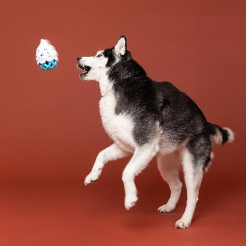 Fringe Studio Rubber Dog Toy, HERE for The Cupcakes, Pet Shop Collection (519079)