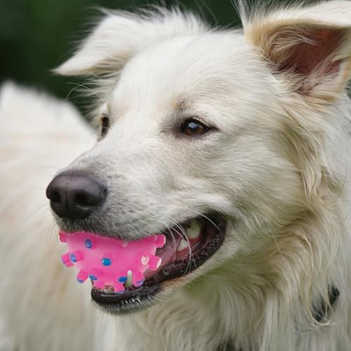 Beavorty Dog Chew Ball Squeaker Vinyl Quack Sound Pet Toy for Dogs and Cats 2.75in Colorful Interactive Fetch Ball for Chewing Stress Relief Random Color