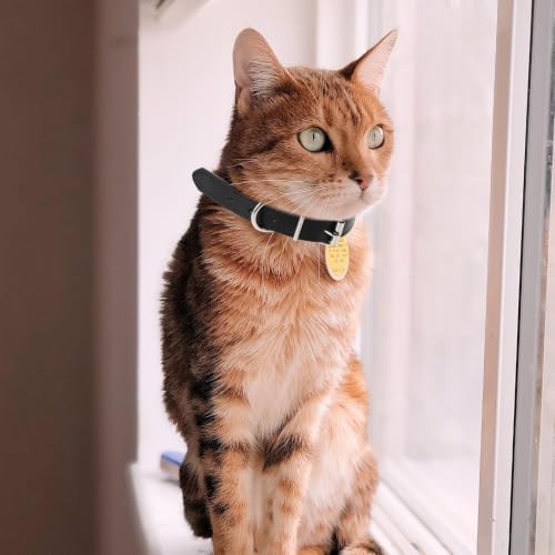 4pcs Adjustable Pu Pet Collar for Dogs and Cats Waterproof Neck Strap