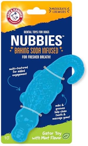 Arm & Hammer Nubbies Gator Dog Dental Chew Toy, Mint Flavor