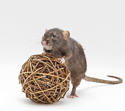 Willow Ball - Natural Safe Willow Branch Rattan Activity Chew Toy Cage Accessory - Rabbits, Guinea Pigs, Prairie Dogs, Chinchillas, Degus, Rats, Hedgehogs, Squirrels, Parrots, & Small Pets