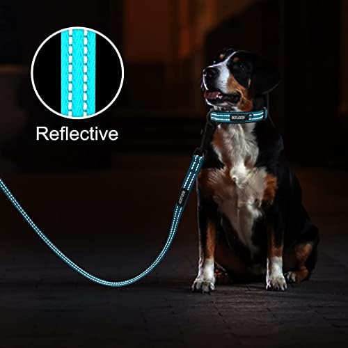 azuza Reflective Dog Collar, Neoprene Padded Medium Dog Collar, L