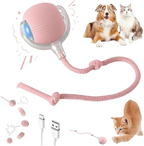Interactive Electric Automatic Rolling Moving Rechargeable Self Play Stimulation Toy,Smart Pet Chase with Speedy Tail Rope for Bored Indoor Cats (Pink)