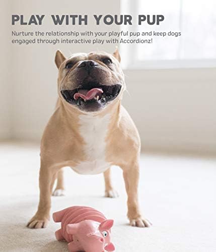 Outward Hound Accordionz Latex Rubber Squeaking Toy - Squeaky and Grunting Dog Toy, Alligator