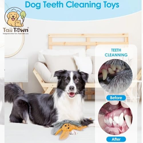 Fox Dog Toy, No Stuffing Plush Squeaky Crinkle Toy for Gentle Chewing & Interactive Play, Puppy Chew Toy for Small Medium Large Dogs, Tail Town