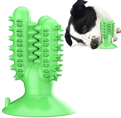 lilaBelle]【Cactus Dog Toy New Dental Stick for Dogs - Teeth Cleaning & Stress Relief Chew with Sound, Treat Dispenser, TPR Safe Material, Sizes Dogs, Home/Park/Garden (Saudi Pets)