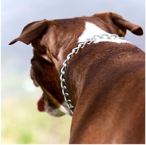 Choke Chain Collars for Dog Training and Walking Welded Steel Choose Thickness and Length (Extreme Heavy - 6mm, 30")