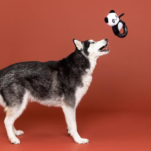 Fringe Studio Rubber Dog Toy, STU-Panda-OUS!, Pet Shop Collection (519081)