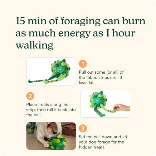 Reggie Dog Training Treats with Enrichment Toy | Turkey & Pumpkin Dog Treats + Forager Ball | Low-Calorie High-Protein Rewards | Mental Stimulation for Dogs | 340 Treats
