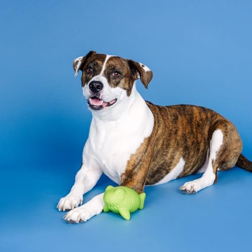 Fringe Studio Catch YA Later Lime Rubber Dog Toy, Pet Shop Collection (518048)