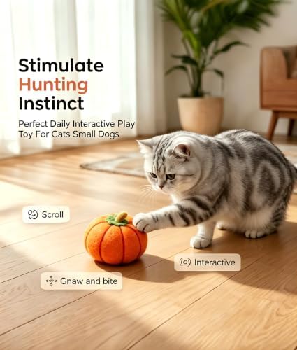 Cat Toy Balls, Pumpkin-Shaped, 5 Pack