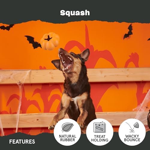 BarkBox Squash Dog Toy