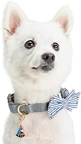 Blueberry Pet Bon Voyage Pet Accessory of Collar Slide Hair Clip and Pedant for Dogs & Cats, Pack of 2 Handsome Bowtie and Boat Tag