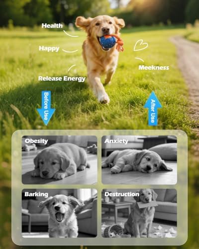 CloudValley Smart Interactive Dog Toy with Remote Control, E-TPU Material