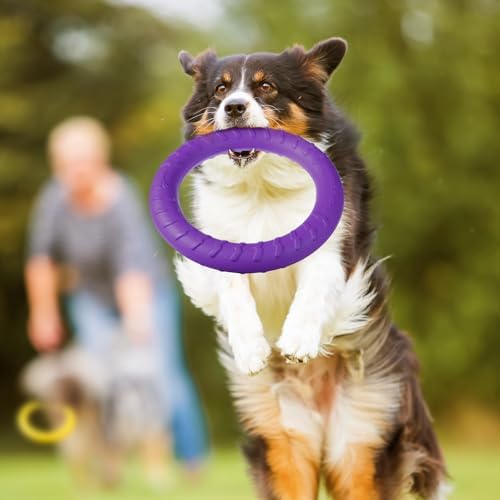 4 Pack 7.48 Inch Dog Ring Toy for Large Medium Dog Training, Multicolored