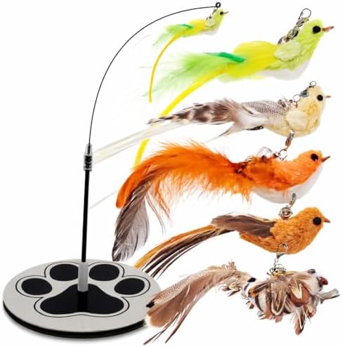 Bird Toy for Cats - 5 Pack Natural Feathers Stable Round Base - Interactive Wand Teaser - Self Play Hunting Enrichment - Bored Indoor Adult Feline Activity - Stimulating Kitten Juguetes para Gatos