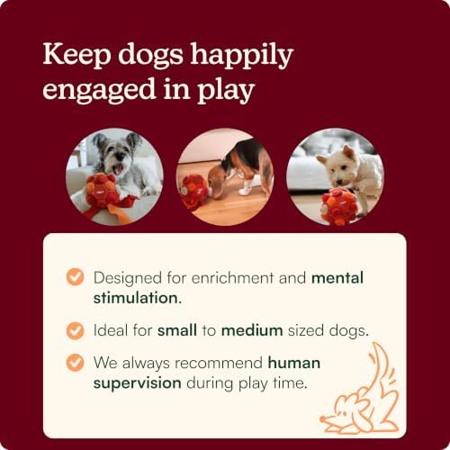 Reggie Snuffle Ball for Dogs | Interactive Treat Dispensing Dog Enrichment Toys | Reduces Boredom, Stress & Hyperactivity | Snuffle Toys for Dogs | Durable & Washable Dog Puzzle Toy I Red