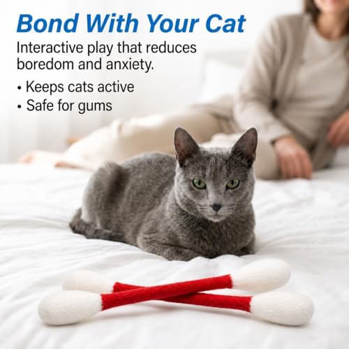 Glaciart One XXL Swabs Cat Toys with Catnip - 2 Pk | Durable for Chew, Cute Cat Toys Interactive Kitty for Boredom, Exercise, & Play | Filled w/Organic Catnip for Anxiety & as Digestive Aid