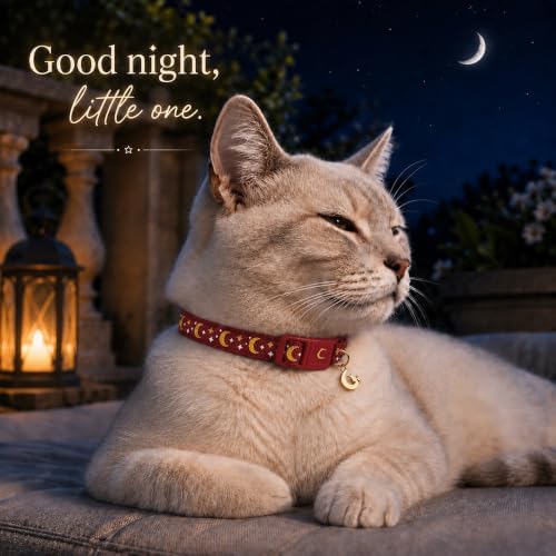 Breakaway Cat Collar with Bell for Kittens & Cats