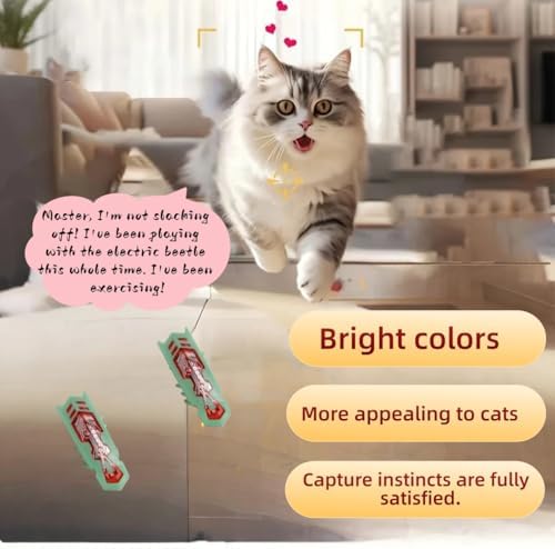 Cat Interactive Toy Educational Cat Teaser Toy 2PCS Electronic Beetle Interactive Set for Indoor Cats Kitten Chase Exercise Battery Operated