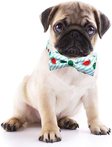 azuza Bowtie Dog Collar, Stylish and Comfy Watermelon Dog Collar with Bow Tie for Small Dogs