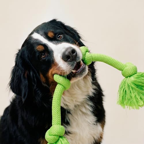 Playology Tug Rope Dog Toys for Large Breeds - Mega, Sweet Potato Scent