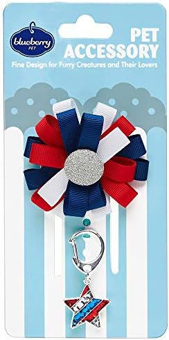 Blueberry Pet American Flag Accessory Set of Collar Accessory Hair Clip and Pedant for Dogs & Cats, USA Flag Color Floral and Star Tag