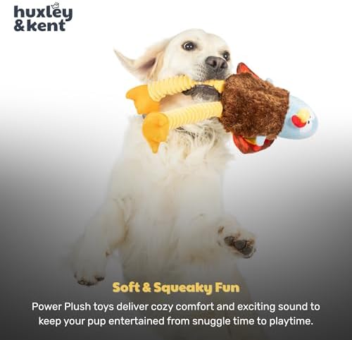 Huxley & Kent Funny Dog Toy w/Squeaker – Halloween Power Plush Squeaky Dog Toys for Small, Medium & Large Dogs – Soft Stuffed Animal for Indoor Play & Fetch - Lankies Feathertail Turkey, Small