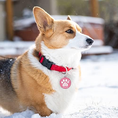 MYLUCKYTAG NFC&QR Code Personalized Dog Cat Tag, Online Pet Profile, Scan QR Receive Instant Pet Location Alert Email