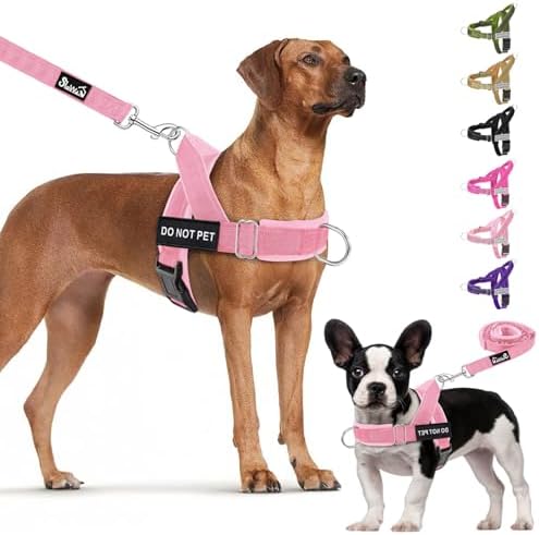 Lukovee No Pull Dog Harness and Leash Set, Soft Padded for Large Medium Dog