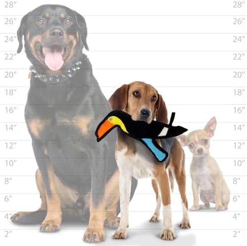 TUFFY® 2 Pack Toucan Ultra Durable Plush Dog Toys