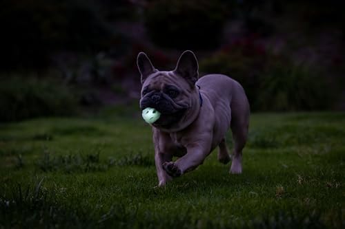Chuckit! Air Glow Fetch Ball Dog Toy, Small 2in 2 Pack