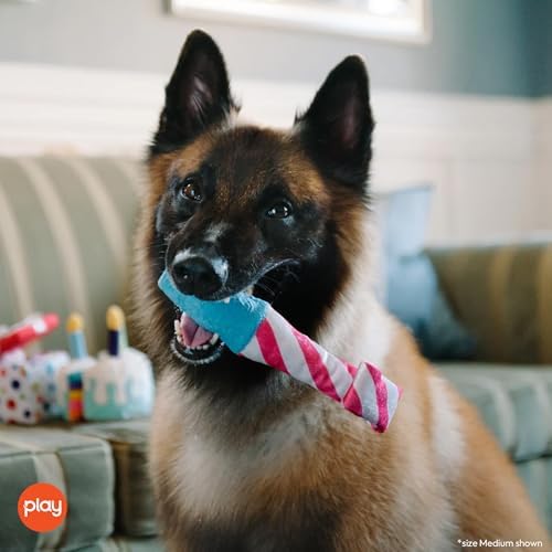 P.L.A.Y. Cute Plush Dog Toys - Birthday Party Themed Durable Squeaker Chew Toy, Great for Puppies & Small, Medium, Large Dogs - Machine Washable, Recycled Materials (Raise the Woof Party Horn, Medium)