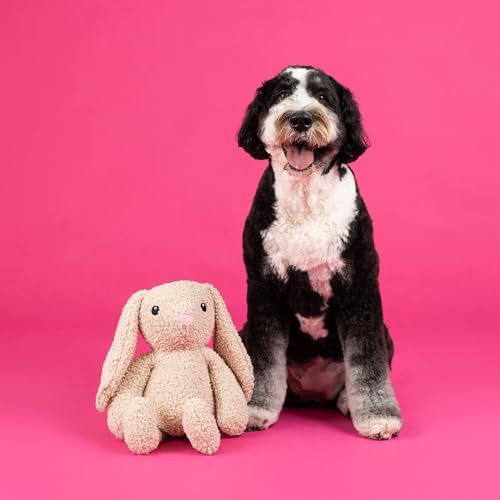 Fringe Studio Large Plush Dog Toy, Hoppy to See You, 19" Tall x 13" Wide, Pet Shop Collection (728034)