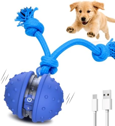 Interactive Dog Toys, Automatic Moving Dog Ball with Rope, Motion Activated, Squeaky, USB Rechargeable, Active Rolling Ball for Puppy