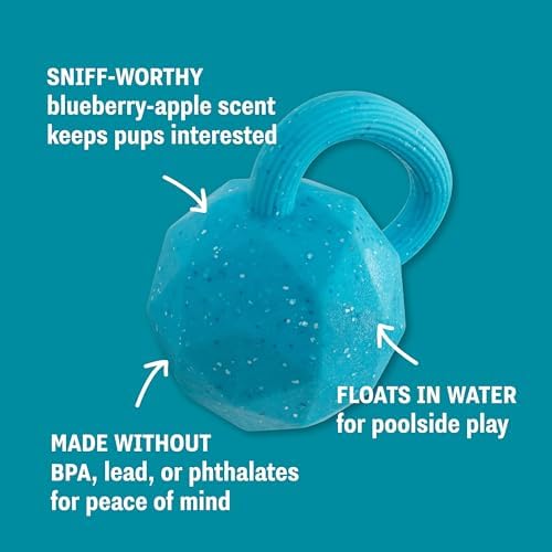 Flex-Force Herding Ball Dog Toy, Tug Handle & Unpredictable Bounce, Floats in Water, Blueberry-Apple Scent for Sensory Play, Tough Chewers, Large Breeds (60-100+ lbs), 6.6"