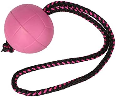 Dingo Dog Ball with Short Handle, Natural Rubber (Pink)