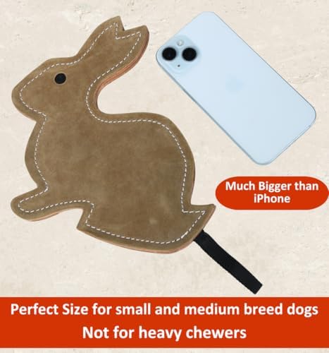 Leather Dog Toys for Small Puppies, Genuine Leather Chew Toys, Safe Puppy Toys, Durable Dog Chews for Teething, Interactive Play, Training, and Healthy Chewing (Rabbit)