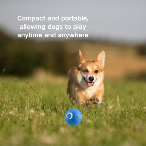 MILEDY 2PCS Shaky Ball for Dogs, Shaky Ball Toy for Dogs, Vibrating Dog Ball, Vibrating Ball for Dogs, Shaky Ball Moving Dog Toy, Automatic Moving Dog Toy Ball, Suitable for All Dogs (Orange+Blue)