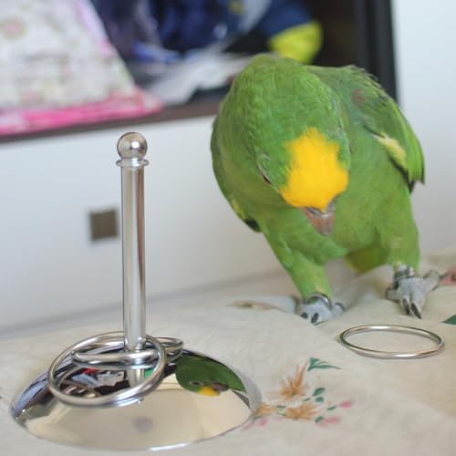 Fosrion Stainless Steel Parrot Ring Toss Toy, Interactive Training & Enrichment Toy for Parrots – Bite-Proof, Anxiety Relief, Exercise Fun for All Kinds of Parrot (Large)