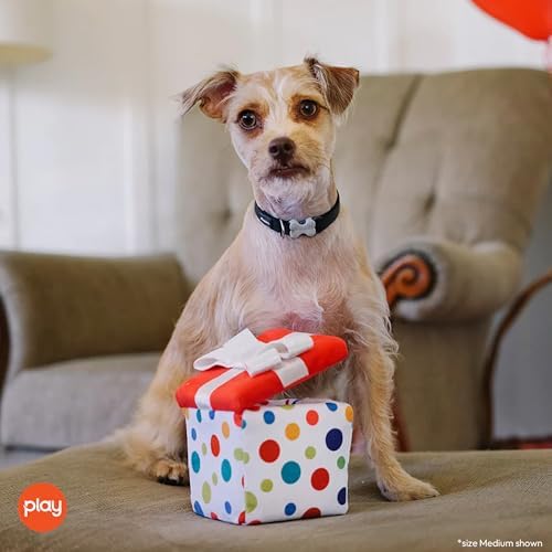 P.L.A.Y. Cute Plush Dog Toys - Birthday Party Celebration Themed Durable Squeaker Chew Toy, Great for Puppies & Small, Medium, Large Dog - Machine Washable, Recycled Material (Pawfect Present, Medium)