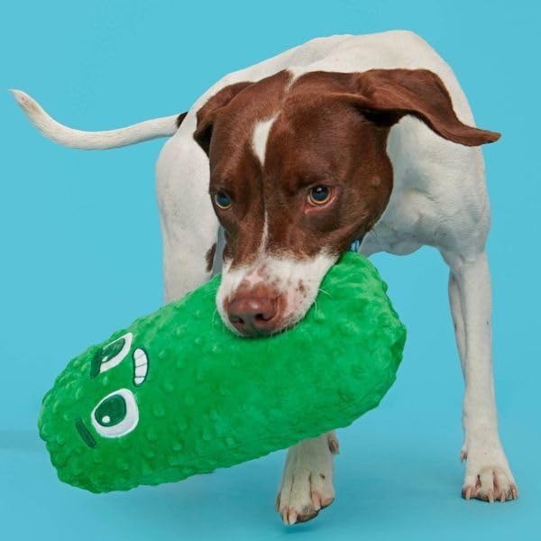 Big Dill Bill Pickle Dog Toy Plush Squeaky Crinkle Stuffed Dog Toy for Small Medium and Large Dogs Packed with Fluff Dual Squeakers Soft Green Chew Toy for Indoor Play and Cuddling
