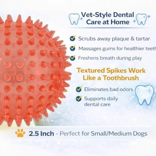 Squeaky Spiky Dog Balls for Teeth Cleaning & Gum Massage 2.5 Inch Small Medium Dogs Red | Spiny TPR Rubber Chew Toys for Fetch Play Interactive Bouncy Dental Balls BPA Free Nontoxic Floats - 3 Pack