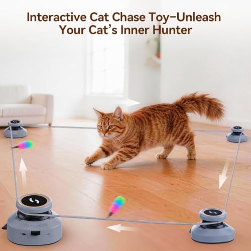 Jripae Interactive Cat Toys for Indoor Cats DIY Multi-Track Chase