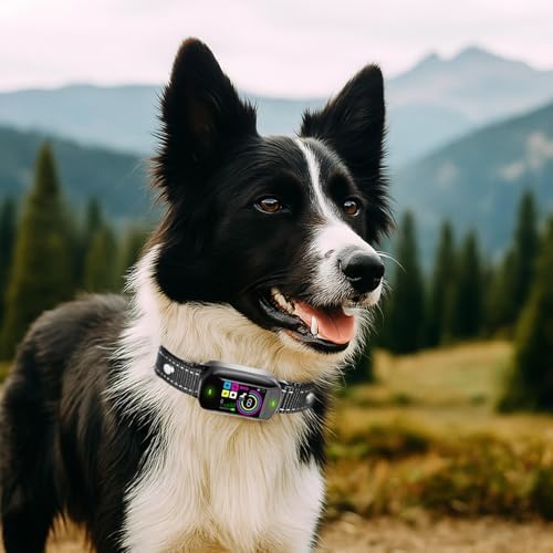 Dog Bark Collar for Small Dogs, Smart Vibration Training Collar, Color Screen, Reflective Nylon Strap, Adjustable Sensitivity, IP67 Waterproof, Fits 7.9-19.7 in Neck