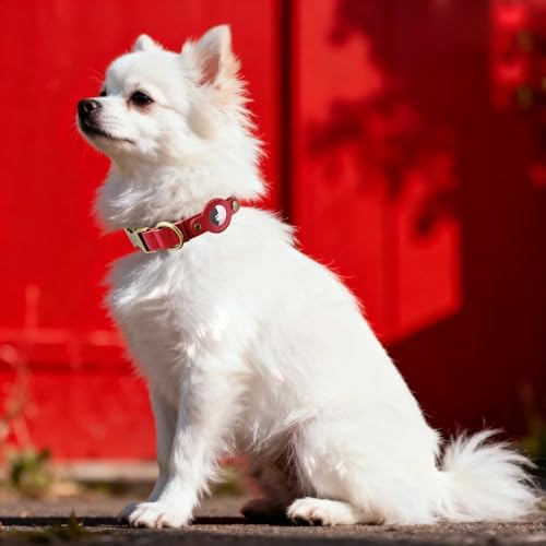 Airtag Dog Collar, PU Leather Collar with Airtag Holder for Small Dogs(Red)