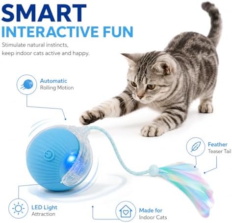 Interactive Cat Toy Ball with LED Lights – USB-C Rechargeable Automatic Feather Teaser for Indoor Cats & Kittens, Fun Chase & Exercise Toy