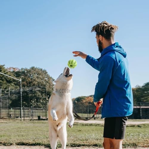 Interactive Dog Toys, Dog Puzzle Ball, Pet Chew Relieves Anxiety, Cleans Teeth,Dog Toys to Keep Them Busy,Outdoor Dog Entertainment for Small and Medium Dogs (3 Pcs)