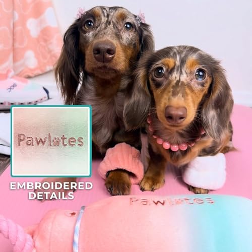 Haute Diggity Dog Pawlates Princess Water Bottle Plush Dog Toy Funny Parody